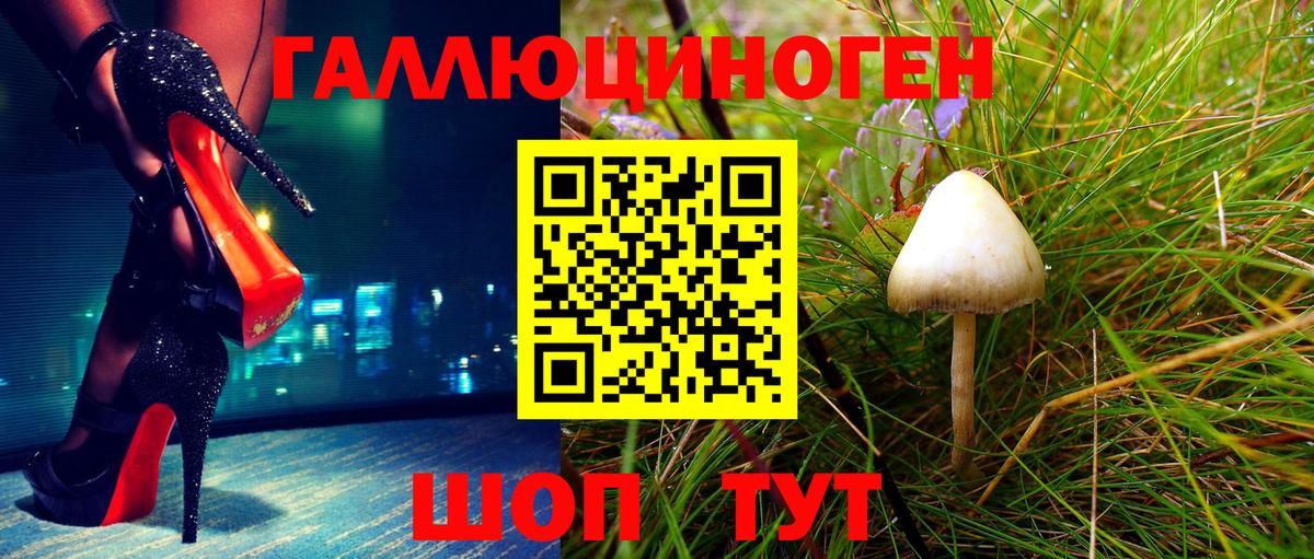 Галлюциногенные грибы GOLDEN TEACHER Санкт-Петербург