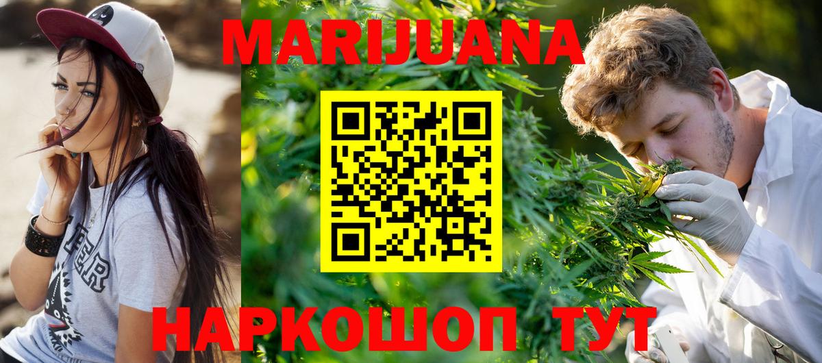 Каннабис план Санкт-Петербург